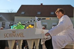 Narrentreiben 2025 (Fotos Rochus Hetzendorfer)